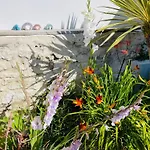 Clos Des Aigrettes -appartements A 30m Du Port De , Ile D Oleron -commerces Et Plages A Pied 4*