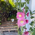 Clos Des Aigrettes -appartements A 30m Du Port De , Ile D Oleron -commerces Et Plages A Pied