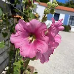 Aparthotel Clos Des Aigrettes -appartements A 30m Du Port De , Ile D Oleron -commerces Et Plages A Pied