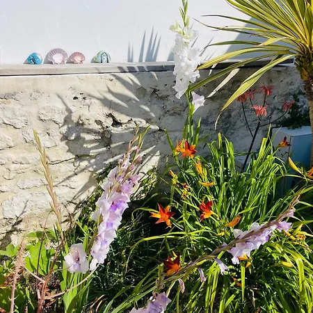 Clos Des Aigrettes -appartements A 30m Du Port De , Ile D Oleron -commerces Et Plages A Pied 4*