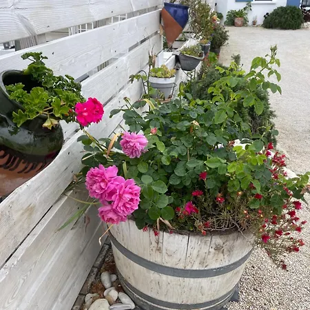 Clos Des Aigrettes -6 De Charme Et Confort A 30m Du Port De 3* La Cotinière
