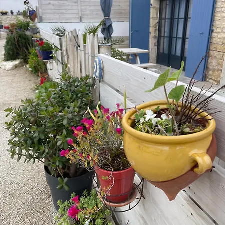 Clos Des Aigrettes -6 De Charme Et Confort A 30m Du Port De Aparthotel La Cotinière