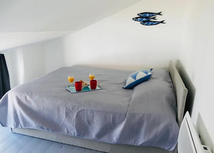 Clos Des Aigrettes -appartement De Charme Et Confort A 30m Du Port De 4*