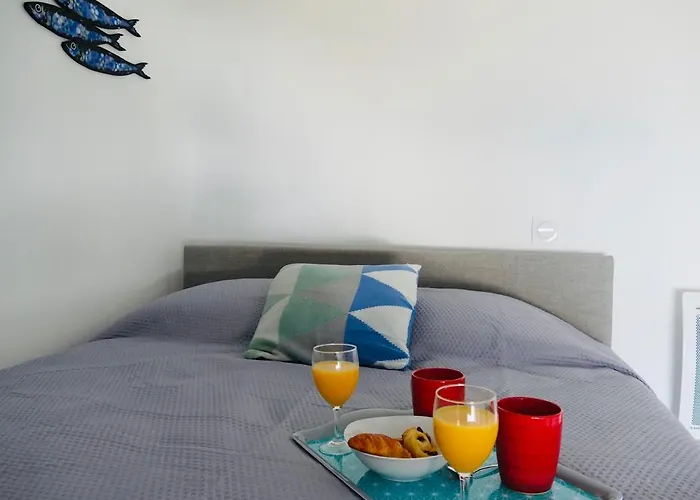 Clos Des Aigrettes -appartement De Charme Et Confort A 30m Du Port De Aparthotel