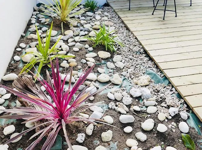 Apart-hotel Clos Des Aigrettes -6 De Charme Et Confort à 30m Du Port De La Cotinière