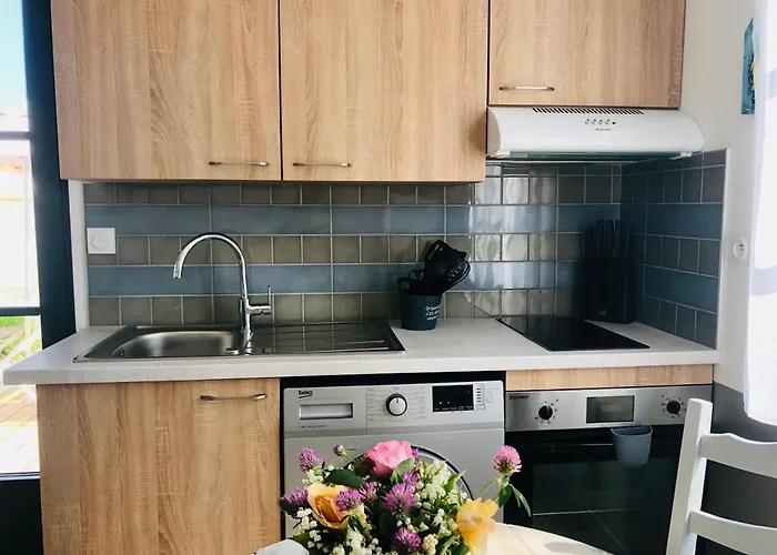 Clos Des Aigrettes -appartement De Charme Et Confort A 30m Du Port De Aparthotel