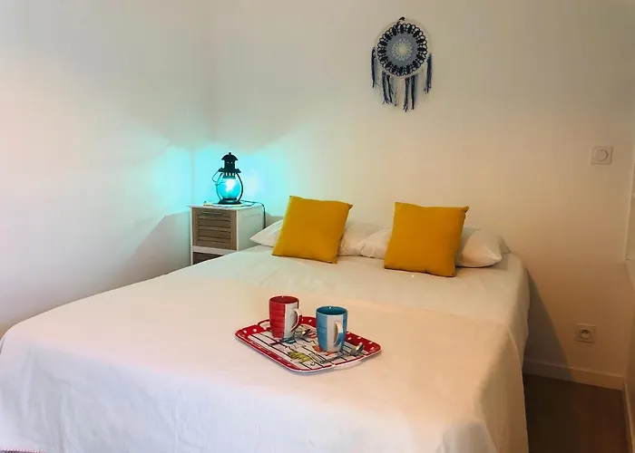 Aparthotel Clos Des Aigrettes -appartement De Charme Et Confort A 30m Du Port De