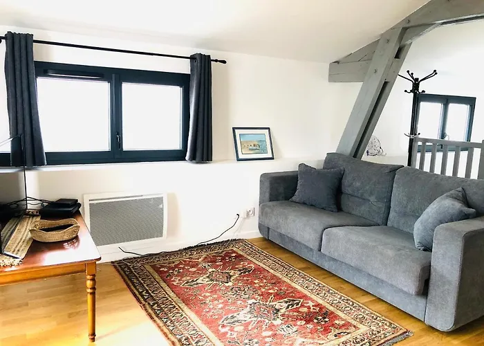 Clos Des Aigrettes -appartement De Charme Et Confort A 30m Du Port De Aparthotel