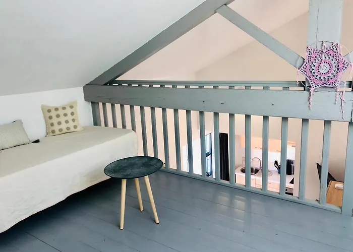 Clos Des Aigrettes -appartement De Charme Et Confort A 30m Du Port De