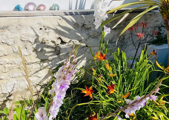 Clos Des Aigrettes -appartement De Charme Et Confort A 30m Du Port De 4*